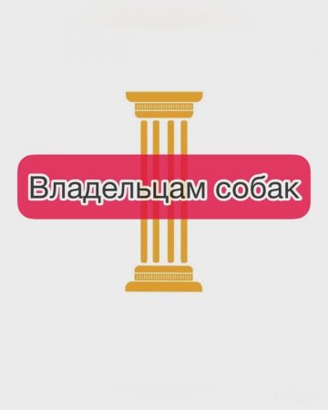 Владельцам собак