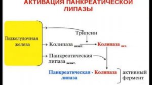 Фет Греббез и Карбо Гребберз