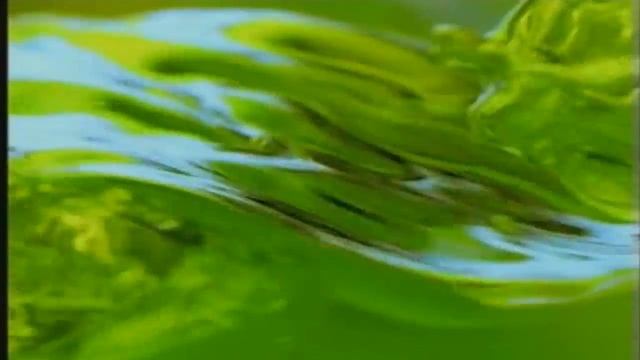 Timotei - Shampoo смотреть онлайн