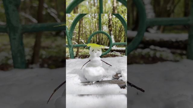 Раньше были майские жуки...
А теперь снеговики.