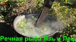 УХА… Три леща. Один язь..