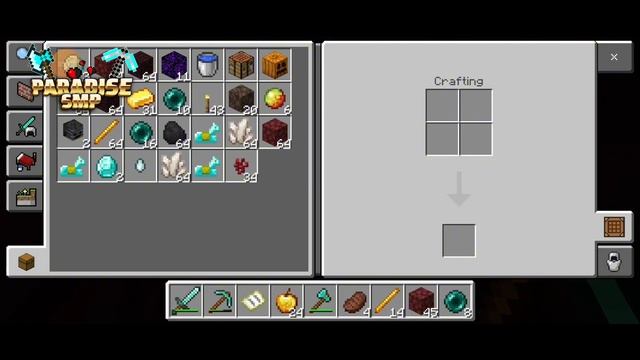 HOW I MAXED OUT IN THIS LIFESTEAL SMP