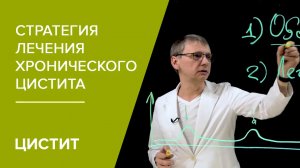 Стратегия лечения хронического цистита