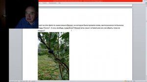 49 ч 6 9 ти летняя яблоня не растет почему
