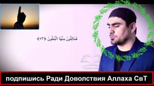 Сура 56 Аль Вакиа Сиратулло Раупов #youtube #islam #ислам #quran #сиратулло_раупов