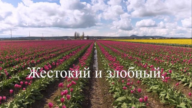Выздоравливай  стих любимой жене читает : Karcher Waldemar