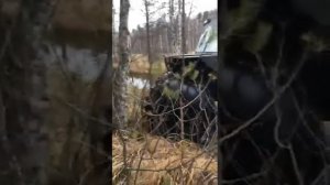Вездеход кайман4х4