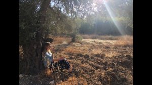 PEACE in JERUSALEM recorded LIVE in the Garden of Gethsemane