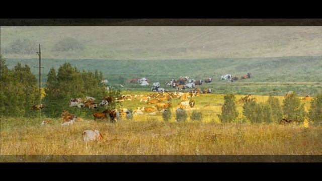 "ЭЛЕГИЯ"... (Фото Елены Поликарповой (Саранск), музыка Сергея Рахманинова) смотреть онлайн