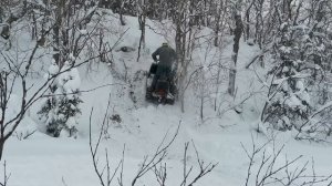 Вижас.В Новом году-Буран не берегу.