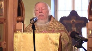 Проповедь на неделю 27-ю по Пятидесятнице (о жизни вечной). Димитрий Смирнов