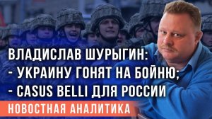 Владислав Шурыгин: Украину гонят на бойню; casus belli для России