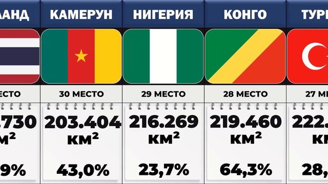 Какую Территорию Занимают Леса В Разных Странах? смотреть онлайн