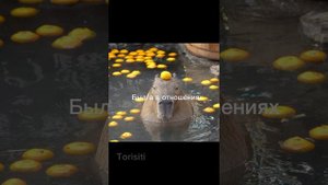 🖤Танцуй если речь идёт о тебе 🖤