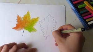 КАК НАРИСОВАТЬ ОСЕНЬ / КЛЕНОВЫЙ ЛИСТ, ДУБОВЫЙ, БЕРЕЗОВЫЙ / УРОК