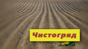 Чистогряд, рекламный ролик