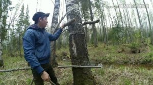 КАК ПОСТРОИТЬ ДВУХ ЭТАЖНЫЙ ШАЛАШ НА ДЕРЕВЕ