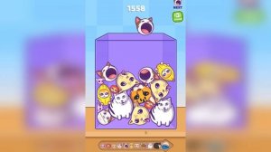 ЭВОЛЮЦИЯ КОТОВ МЕМОВ В ШАЙЛУШАЯ, МАКСИМАЛЬНЫЙ УРОВЕНЬ!  Merge Fellas