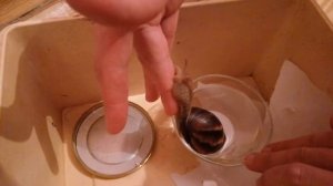 БОЛЬШАЯ РУЧНАЯ УЛИТКА можно ПОГЛАДИТЬ Классный домашний питомец для детей
