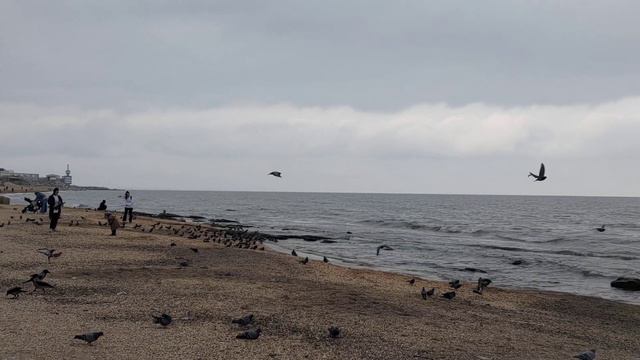 Каспийское море. Купаемся. Дагестан, Махачкала. Ноябрь 2023.