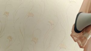 Отпариватель PHILIPS GC527/20 EasyTouch Plus