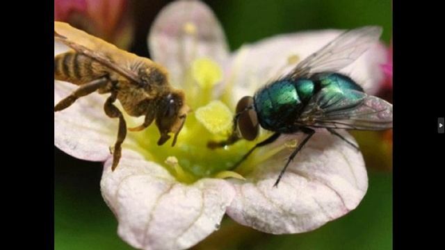 Стих 336. Благодарность смотреть онлайн