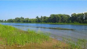 Где Большой Иргиз впадает в Волгу...