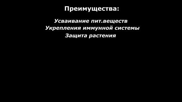 Стимулятор для корней Piranha Liquid с полезными бактериями Advanced Nutrients 0.25 0.5 1 и 5 литра смотреть онлайн