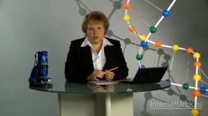 Скелет конечностей. Видеоурок по биологии 8 класс