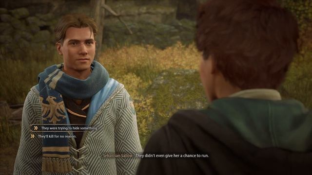 Hogwarts Legacy - In the Shadow of the Estate (No Commentary) смотреть онлайн