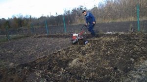 фрезеровка земли после кукурузы с соломой и навозом перед вспашкой 13 10 23г