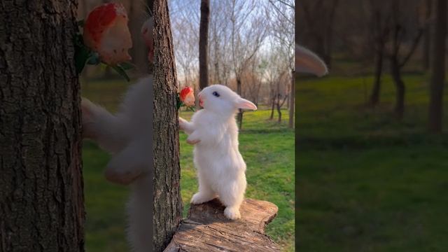 Маленький зайчик