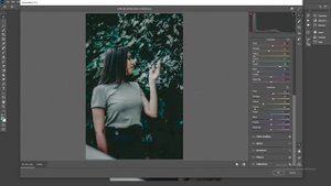 green preset | camera raw free presets download | Lightroom preset | Adobe photoshop color grading