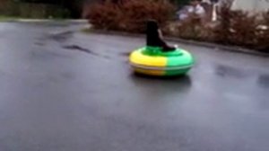 Аттракцион надувные бамперные машинки