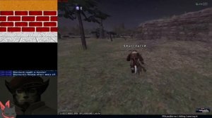 FFXI's animations are tied to the frame rate