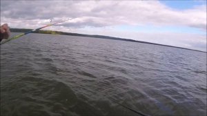 В поисках судака на зеленый поролон - Яузское водохранилище #2