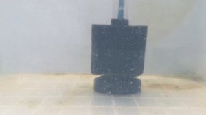 ЗОЛОТИСТЫЙ КОРИДОРАС ОТНЕРЕСТИЛСЯ.ПОКАЗЫВАЮ НОВЫЙ ВЫВОДОК