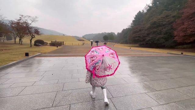 Day 2 | Exploring the Gingko Tree Road and Hyeonchungsa Shrine in Asan South Korea смотреть онлайн