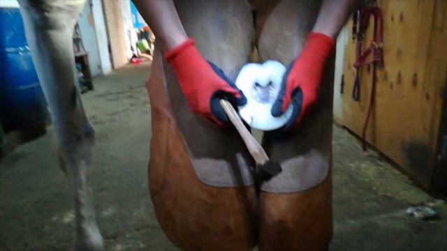 Полиуретановые подковы Horse Master установка смотреть онлайн