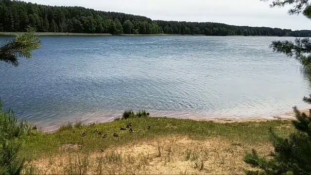 Озеро "Молочное" в Поречье, Гродненский район.