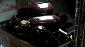 ЗОЛОТЫЕ ПРАВИЛА ВЫРАЩИВАНИЯ БАКЛАЖАНОВ!