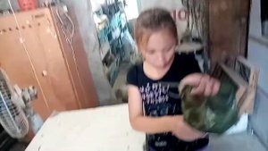 Почему дохнут перепелки? Гуси несутся до сих пор.