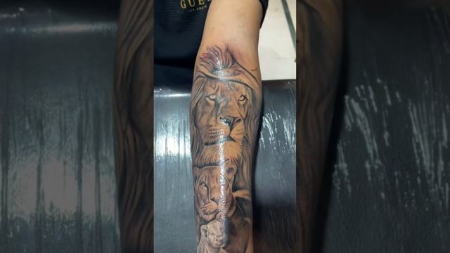 Lion tattoo #inkovativetattoos #bekind #ludhiana #punjab #love #trending #viral #tattoo #tattooart