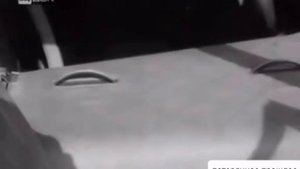 Загадки | Потерянное прошлое