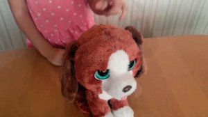 Интерактивная игрушка Furreal Friends Рыжик Счастливый пес. Играем с собакой, playing with puppy.