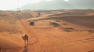 TOYOTA HILUX Yg JUARA DAKAR RALLY 2023 | HILUX DKR T1+ Tunggangan NASSER AL ATTIYAH