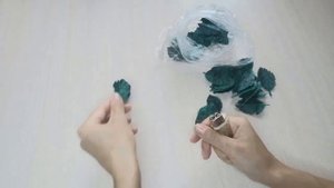 Цветы своими руками. Поделки из полиэтиленовых пакетов / Flowers with your own hands.