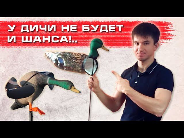 МАСТХЭВ для ОХОТЫ НА ДИЧЬ! Обзор приманок (махокрылы и чучела), GPS ошейника и бипера смотреть онлайн