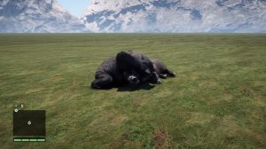 Far Cry 4-Wild Animals Hunt Animation
