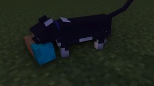 ?ЭПИЧНАЯ БИТВА! СТИВ против ЗОМБИ: Minecraft Animations